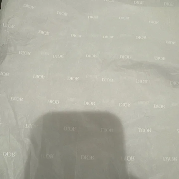 Dior Jordan 1’s - Picture 13 of 15